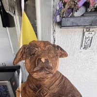 El Canario Mechanic