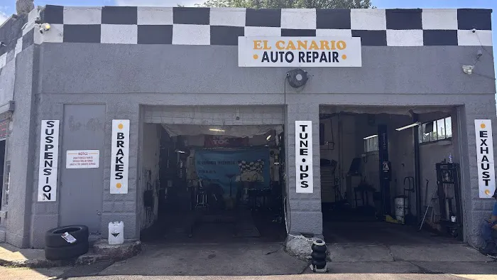 El Canario Mechanic 3