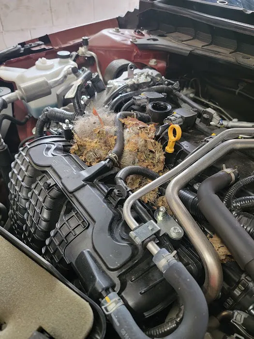 Fix All Auto Repair 9