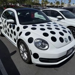 Coachella Valley Volkswagen Service Department ico