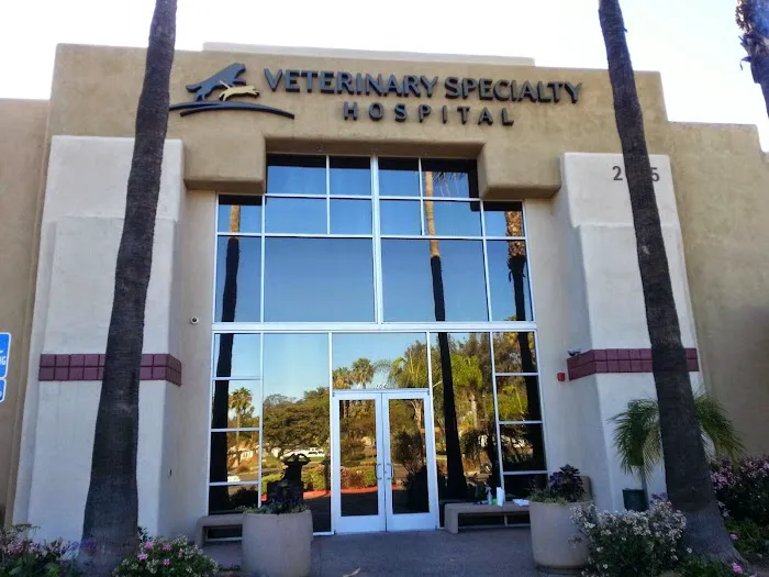 SunSafe Window Films 3