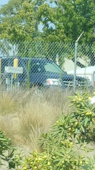 Performance Auto 6