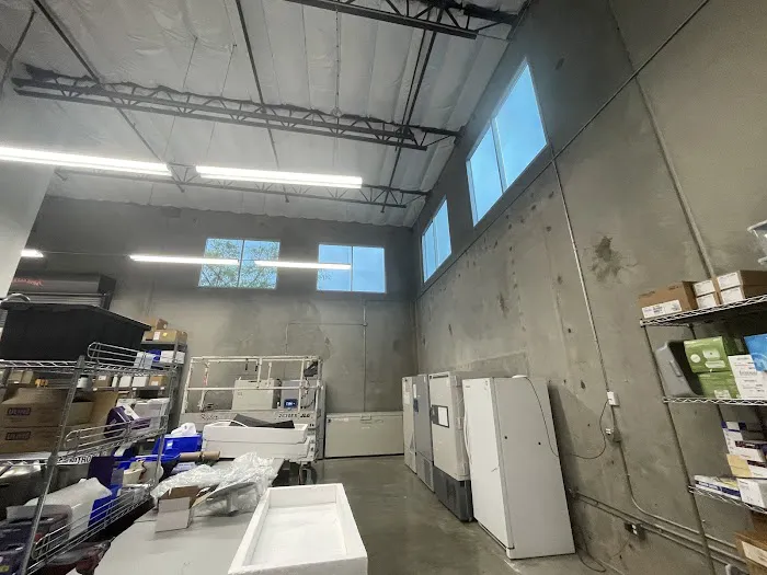 Tint Veteran Residential, Auto, Commercial Window Tinting (Carlsbad, CA) 4