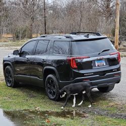 Landers Collision Centers of Salem ico