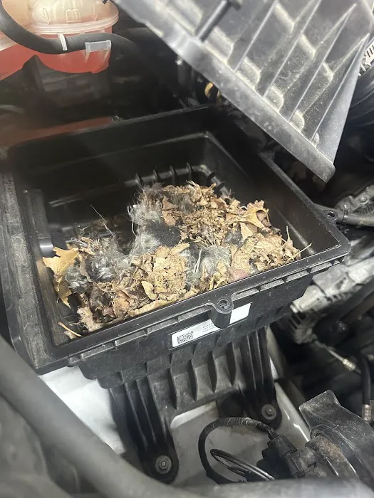 Nelson's Auto Repair 5