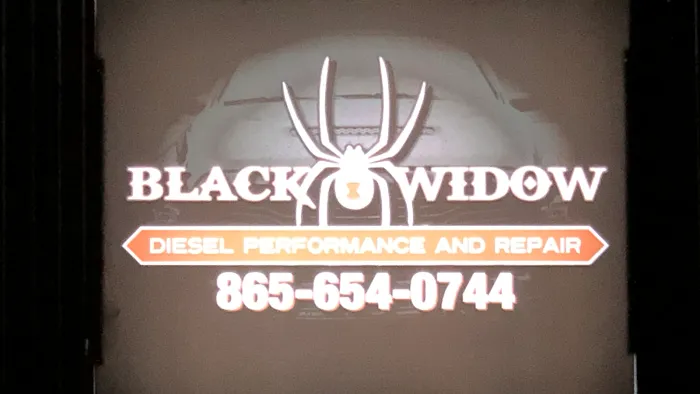 Black Widow Diesel Performance and Repair 6