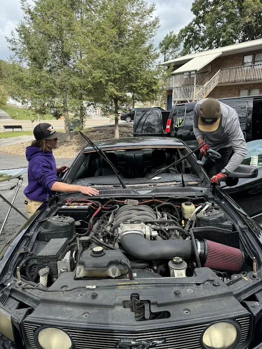 Williams Auto Glass 0