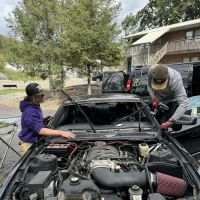 Williams Auto Glass
