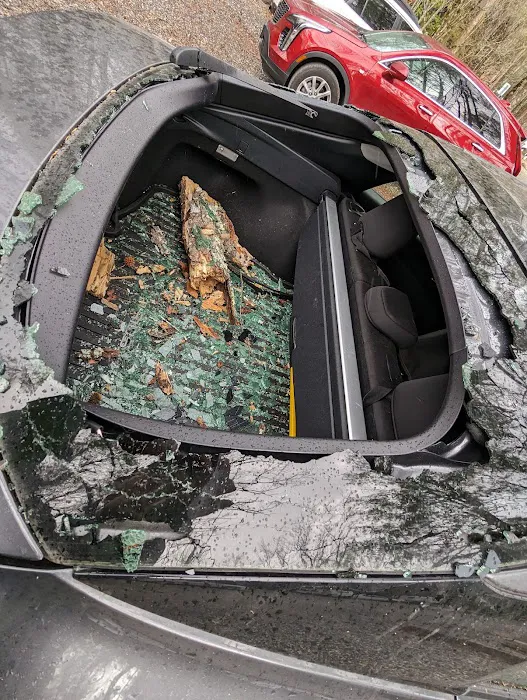 Williams Auto Glass 3