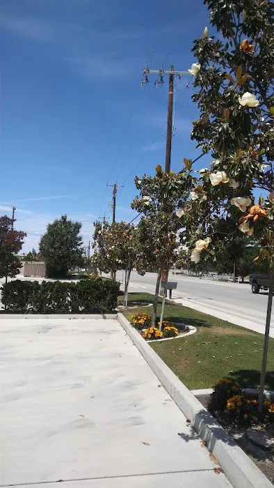 Bakersfield Smog 3
