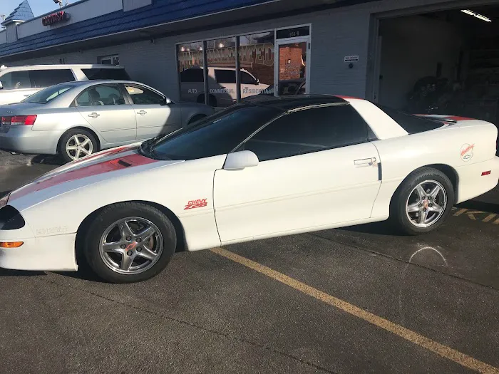 Tints Unlimited 7