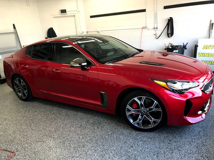 Tints Unlimited 9