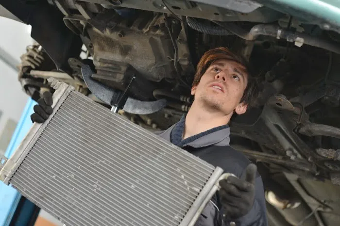 Rex Radiator 4
