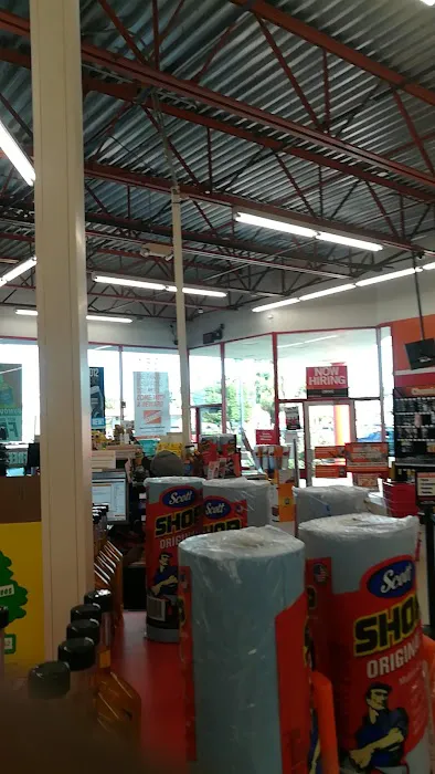 AutoZone Auto Parts 1