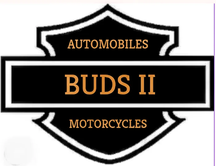 Buds 2 2