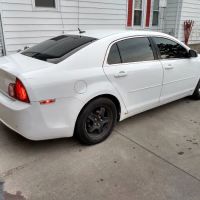Exclusive Tint & Wraps