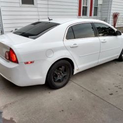 Exclusive Tint & Wraps ico