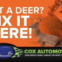 Cox Automotive Co.