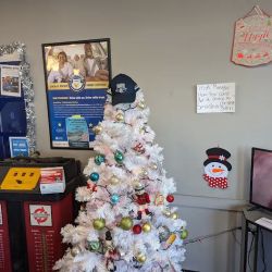 Tire Choice Auto Service Centers ico
