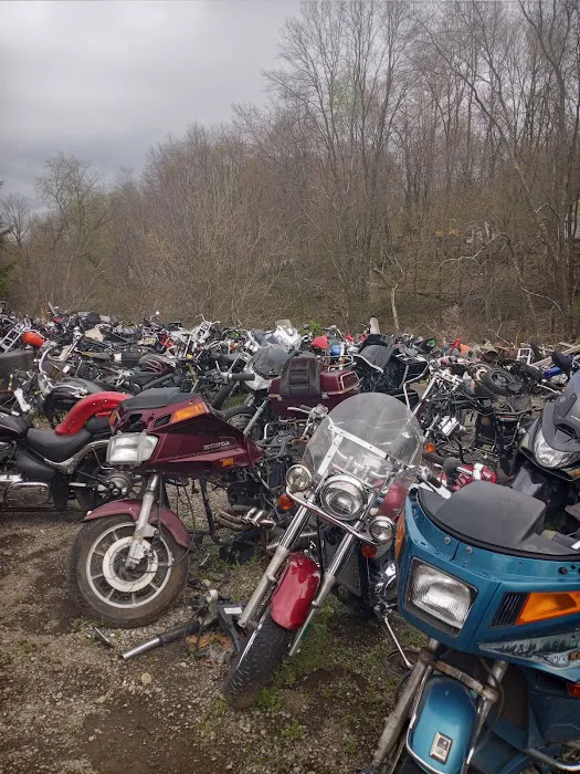 Cycle Salvage 4