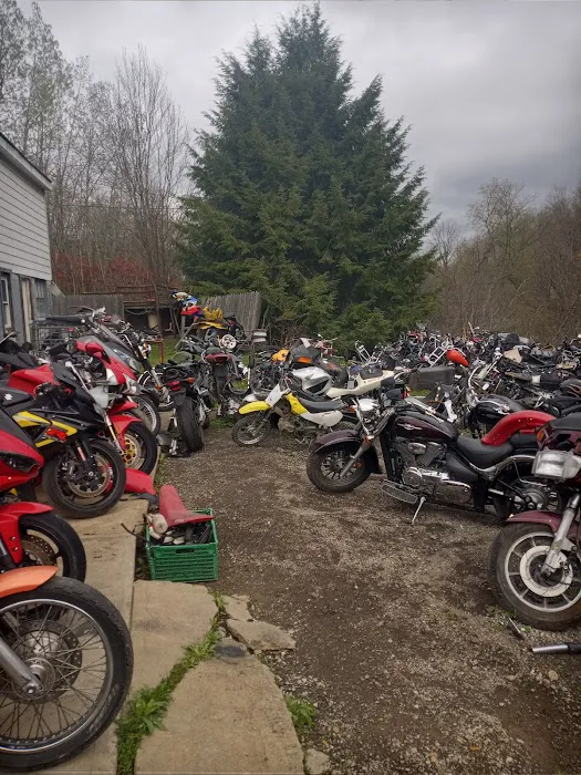 Cycle Salvage 0