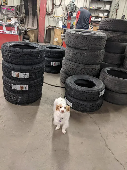 Pioneer Auto Center 8