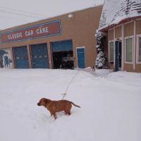 Classic Car Care