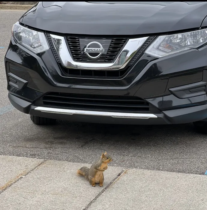 Car Center Collision Repair 0