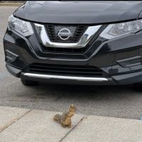 Car Center Collision Repair