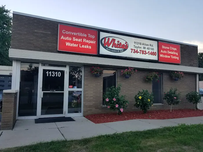 White's Auto Glass & Trim 3