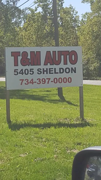 T & M Auto Salvage 5