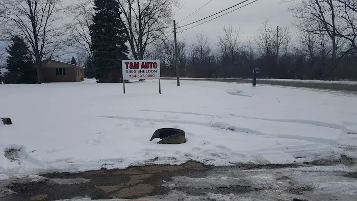 T & M Auto Salvage 3