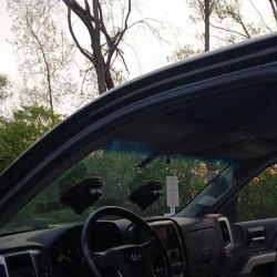 Skyview Auto GLASS Bloomfield Hills ico