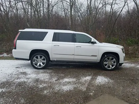Ron Dowler Tinting, Inc. 2
