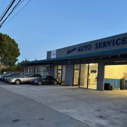 Amana Auto ico
