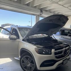 Auto Glass Force & Window Tinting ico