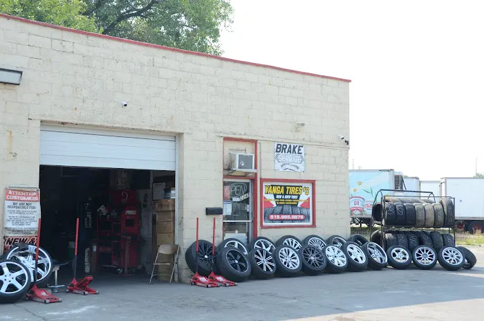 Yanga Tire #3 6