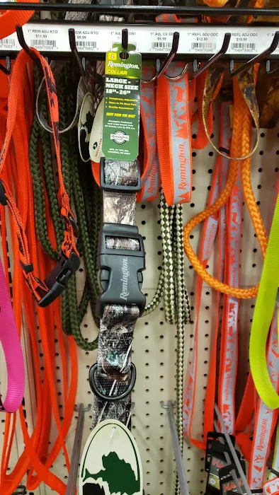 Fleet Farm Auto Service Center 4