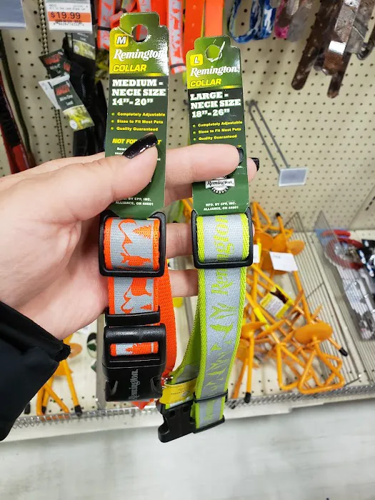 Fleet Farm Auto Service Center 3