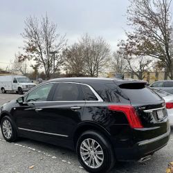 Special T Auto Body ico