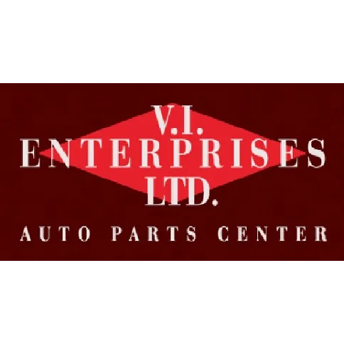 VI Enterprises Ltd. 4