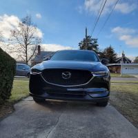 Olson Auto Body & Paint