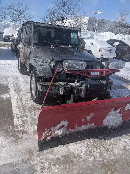 Harry's Auto Services 0