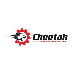 Cheetah Repair Services, Inc ico