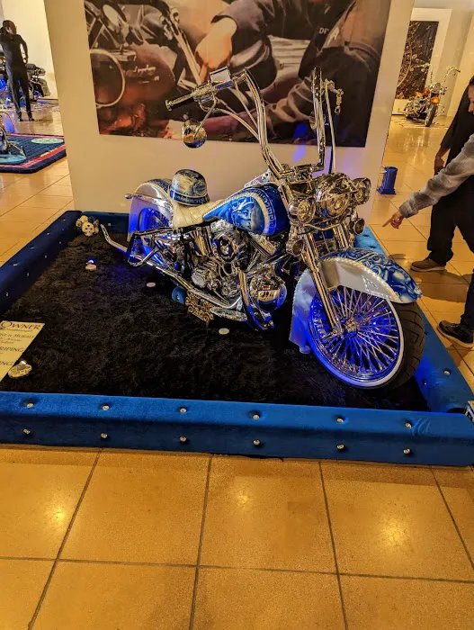 Jrs Kustoms 5