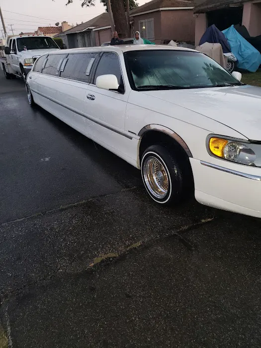 Hi-Beam Auto Electric 5