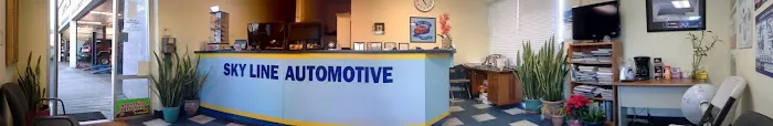 Skyline Automotive 7