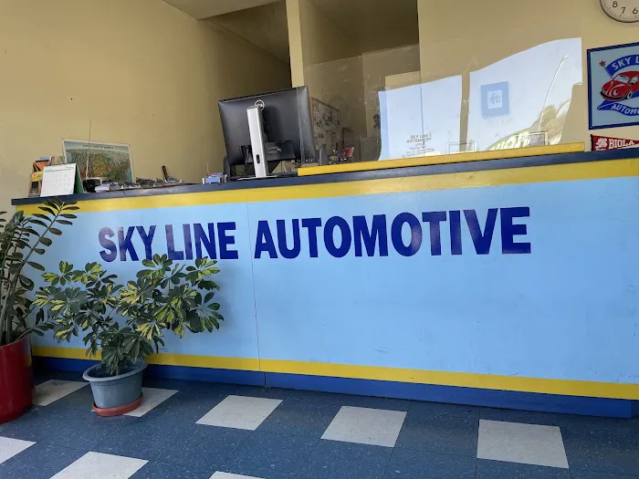 Skyline Automotive 4