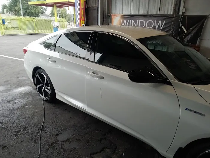 Tinted LA 8