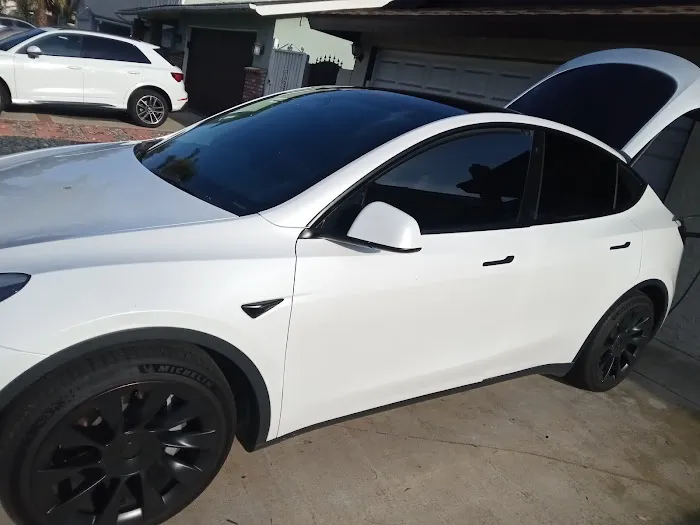 Tinted LA 5